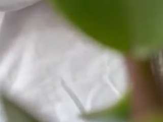 DanielaRous