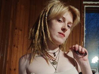 live webcam Qoshka